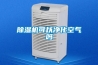 除湿机可以净化空气吗 除湿机可以净化空气吗