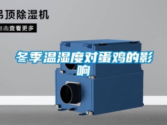 企业新闻冬季温湿度对蛋鸡的影响