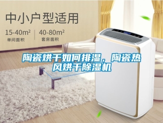 行业新闻陶瓷烘干如何排湿，陶瓷热风烘干除湿机
