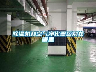 行业新闻除湿机和空气净化器区别在哪里