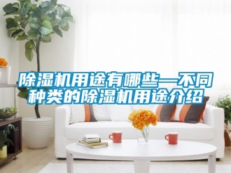 行业新闻除湿机用途有哪些—不同种类的除湿机用途介绍