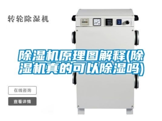 行业新闻除湿机原理图解释(除湿机真的可以除湿吗)