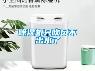 行业新闻除湿机只吹风不出水了