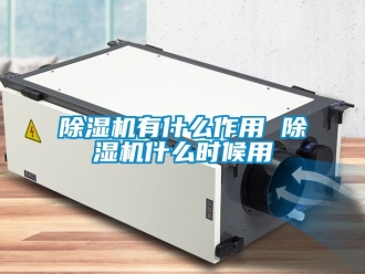 行业新闻除湿机有什么作用 除湿机什么时候用