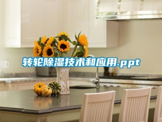 常见问题转轮除湿技术和应用.ppt