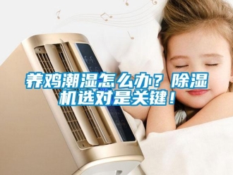 常见问题养鸡潮湿怎么办？除湿机选对是关键！