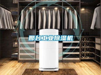 常见问题邢台工业除湿机