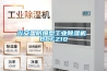 兴安盟防爆型工业除湿机 BCFZ10 兴安盟防爆型工业除湿机 BCFZ10