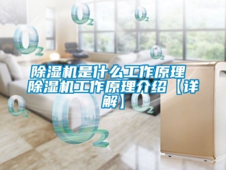 行业新闻除湿机是什么工作原理 除湿机工作原理介绍【详解】