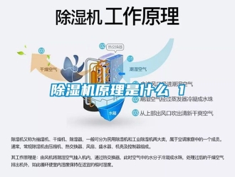 行业新闻除湿机原理是什么 1