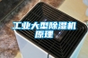 工业大型除湿机原理 工业大型除湿机原理