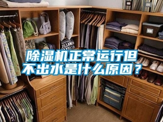 行业新闻除湿机正常运行但不出水是什么原因？