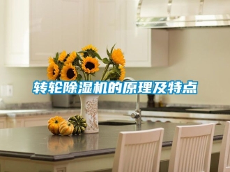常见问题转轮除湿机的原理及特点
