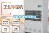 聊城恒温恒湿机组 聊城恒温恒湿机组