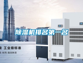 行业新闻除湿机排名第一名