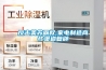 反击美苏霸权,家电制造商忙渠道复辟 反击美苏霸权,家电制造商忙渠道复辟