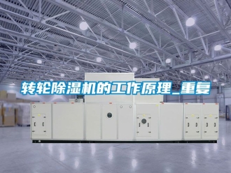 常见问题转轮除湿机的工作原理_重复
