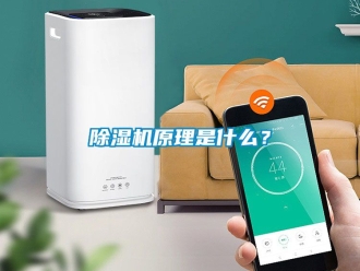 行业新闻除湿机原理是什么？