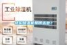 转轮除湿机如何选型? 转轮除湿机如何选型?