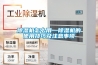 除湿机怎么用—除湿机的使用技巧及注意事项 除湿机怎么用—除湿机的使用技巧及注意事项