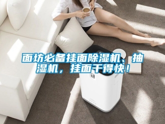 行业新闻面坊必备挂面除湿机、抽湿机，挂面干得快！