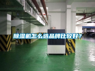 企业新闻除湿机怎么选品牌比较好？