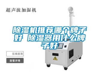行业新闻除湿机推荐哪个牌子好 除湿器用什么牌子好