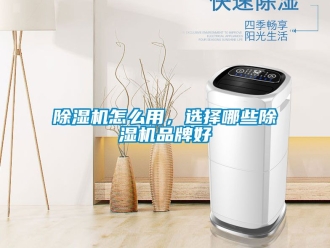 企业新闻除湿机怎么用，选择哪些除湿机品牌好