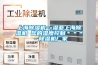 上海除湿机==湿亚上海除湿机 您的湿度控制***-除湿机厂家 上海除湿机==湿亚上海除湿机 您的湿度控制***-除湿机厂家