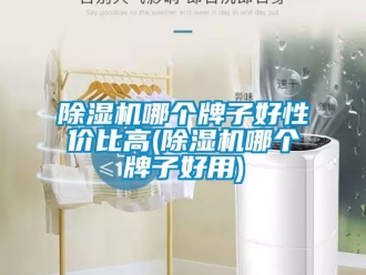行业新闻除湿机哪个牌子好性价比高(除湿机哪个牌子好用)