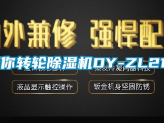 常见问题迷你转轮除湿机DY-ZL210