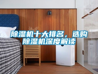 行业新闻除湿机十大排名，选购除湿机深度解读