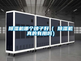 行业新闻除湿机哪个牌子好（ 除湿机真的有用吗）