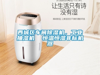 常见问题西城区车间除湿机，工业抽湿机  恒温恒湿非标机器