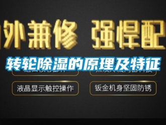 常见问题转轮除湿的原理及特征