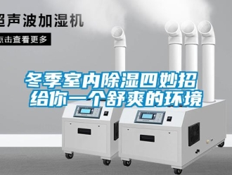 企业新闻冬季室内除湿四妙招 给你一个舒爽的环境