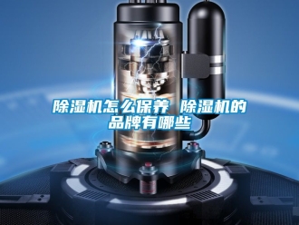 企业新闻除湿机怎么保养 除湿机的品牌有哪些