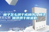 柿子怎么烘干成柿饼?柿子柿饼烘干除湿机 柿子怎么烘干成柿饼?柿子柿饼烘干除湿机