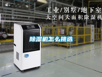 行业新闻除湿机怎么挑选