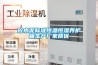 砼水泥标准恒温恒湿养护箱生产厂家质优 砼水泥标准恒温恒湿养护箱生产厂家质优