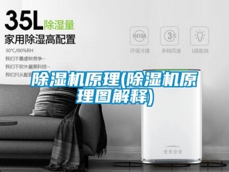 行业新闻除湿机原理(除湿机原理图解释)