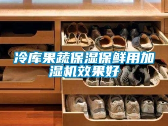 行业新闻冷库果蔬保湿保鲜用加湿机效果好