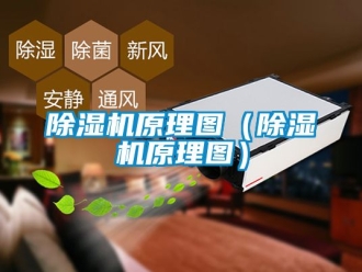 行业新闻除湿机原理图（除湿机原理图）