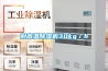 耐高温除湿机30kg/h 耐高温除湿机30kg/h
