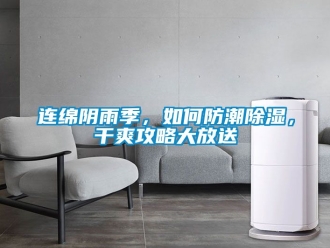 常见问题连绵阴雨季，如何防潮除湿，干爽攻略大放送