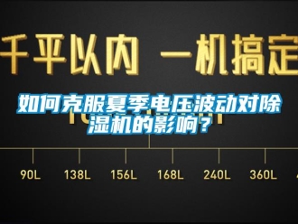常见问题如何克服夏季电压波动对除湿机的影响？