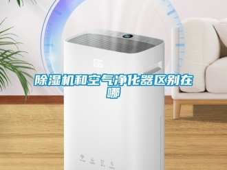 行业新闻除湿机和空气净化器区别在哪