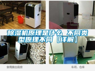 行业新闻除湿机原理是什么 不同类型原理不同【详解】