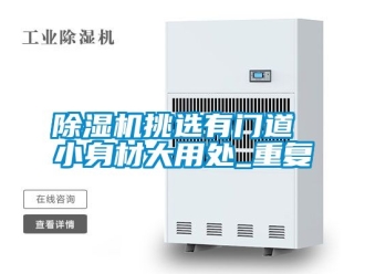 行业新闻除湿机挑选有门道 小身材大用处_重复