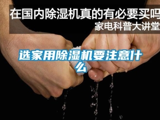 常见问题选家用除湿机要注意什么
